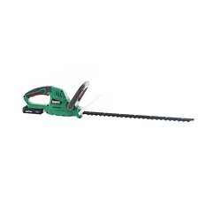 Avis Ribimex Taille-haies rechargeable - Vert/gris