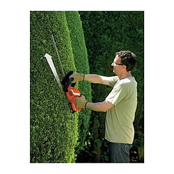 Black & decker taille-haies - Noir