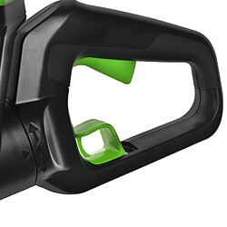 Greenworks Taille-haies - Vert et noir