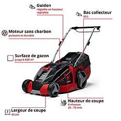 Tondeuse électrique