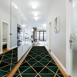 Acheter RUGSX Tapis de Couloir EMERALD Vert