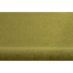 Avis RUGSX TAPIS CERCLE ETON Vert 200 cm