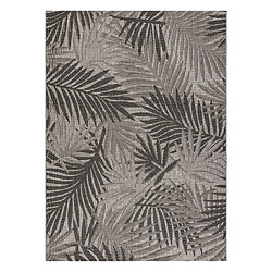 Tapis