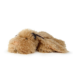 Wp merchandise Peluche chien Ronnie
