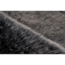 Avis Paris prix Tender - Plusieurs tailles - Gris