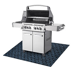 RUGSX VECTRA 800 barbecue bleu