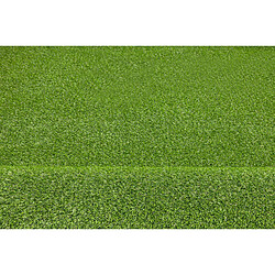 RUGSX GAZON ARTIFICIEL MONA - Vert 133x550 cm
