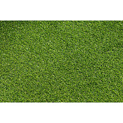 Avis RUGSX GAZON ARTIFICIEL MONA - Vert 133x550 cm