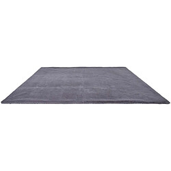 The Home Deco Factory Tapis fin imitation fourrure 120 x 170 cm gris.