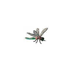 Anima Libellule 34cm