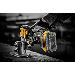 Acheter DeWalt DCD800NT-XJ Tournevis 18V