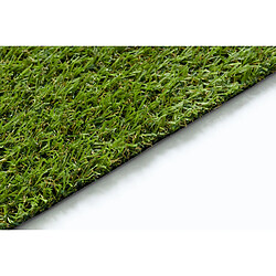 Acheter RUGSX Gazon Artificiel ALVA Toute Taille - 100x950 cm