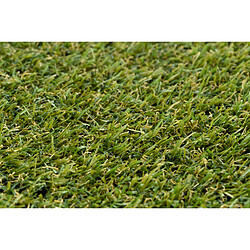 RUGSX Gazon Artificiel ALVA Toute Taille - 100x950 cm pas cher