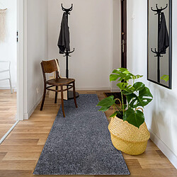 Acheter RUGSX Tapis de couloir SANTA FE gris - 50 cm