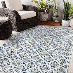 Acheter RUGSX Tapis SIZAL COLOR 19246 Blanc 120x170 cm