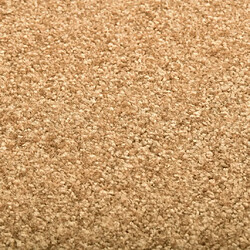 Acheter VidaXL Paillasson Lavable - Crème 40x60 cm