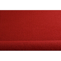 Acheter RUGSX ETON - Rose Cercle 170 cm