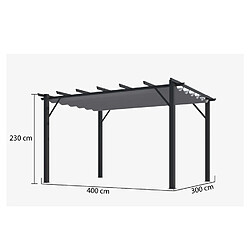 Pergola aluminium gris anthracite poteaux 10x10 cm - PER4030GN - HABRITA