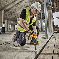 Acheter Dewalt D25333K-QS