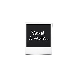 Avis Terraillon Webcoach Smart - Noir