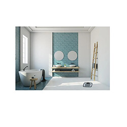 Avis Terraillon Powerfit