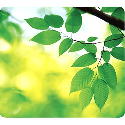 Fellowes Earth Series - Vert