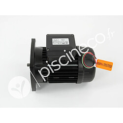Pentair Moteur pump 1CV Tri