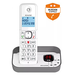 Alcatel F 860 Voice Duo - Gris pas cher