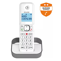 Acheter Alcatel F 860 Voice Duo - Gris