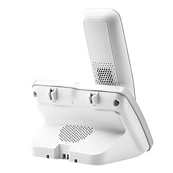 Geemarc Amplidect 295