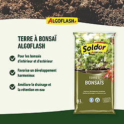 Avis Algoflash Terreau Bonsai - TBONZ6 - 6 L