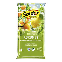 ALGOFLASH Terreau Agrumes Méditerranéen - 6L