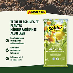 Avis ALGOFLASH Terreau Agrumes Méditerranéen - 6L