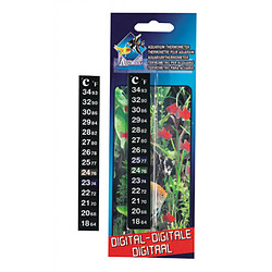 Equipement de l'aquarium Flamingo