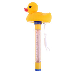 Thermomètre de piscine et spa