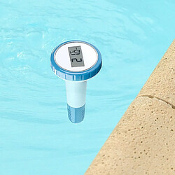 MAGNETICLAND Thermomètre Piscine