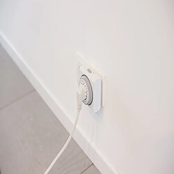 Chacon Programmateur Mécanique