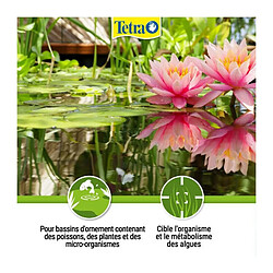 Avis Tetra Anti-algues pour bassin AlgoFin - 500 ml