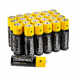 Intenso Batteries 7501824