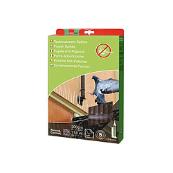 Piques Pigeon Swissinno