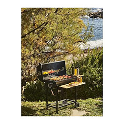 Barbecue charbon de bois