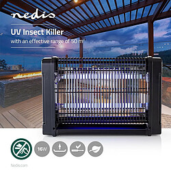 Arbre & arbuste Générique