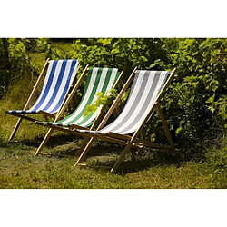 Jardin prive Chilienne Cancale - Gris