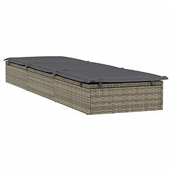 Acheter VIDAXL Transat avec coussin gris foncé