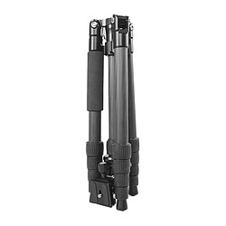 Avis Starblitz TSC 215