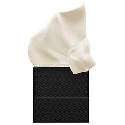 Acheter vidaXL Lit de Salon Extérieur Résine Tressée