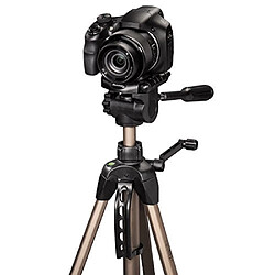 Avis Hama Star 63