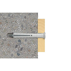 Acheter FISCHER Cheville à frapper N Nylon 50353