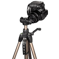 Acheter Hama Star 63