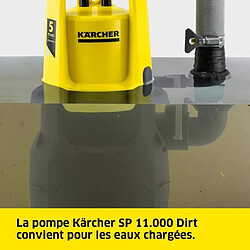 KÄRCHER KÃ¤rcher Pompe à Eau SP 11,000